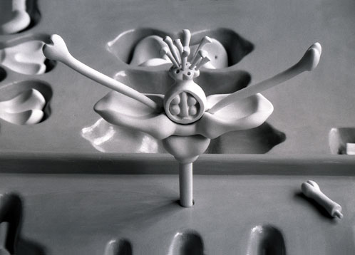 Blumenkasten (Detail), 2003
Gips, Porzellan, Plexiglas, 50  45  15 cm